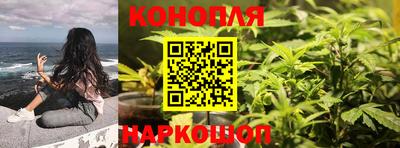 гидропоника Свободный