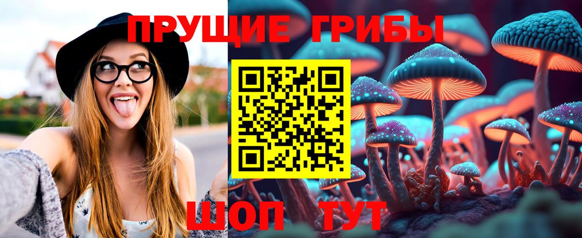 Галлюциногенные грибы мицелий  Галлюциногенные грибы Magic Shrooms  Вход с VPN  Ноябрьск 